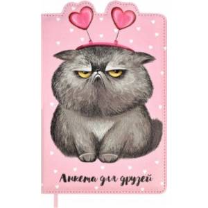 Анкета для друзей Котик