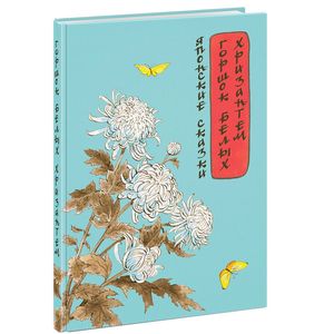 Горшок белых хризантем