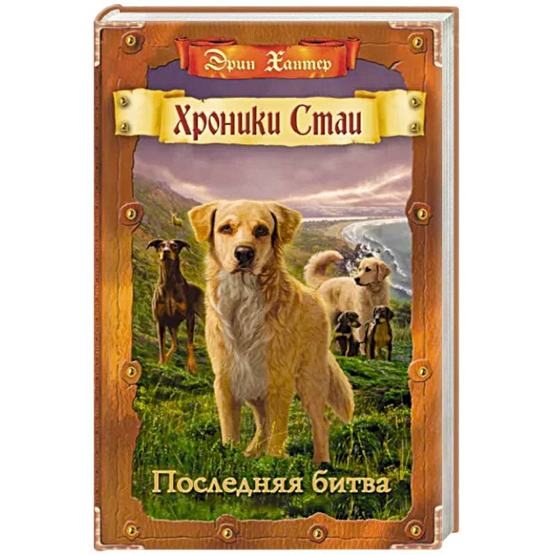 Последняя битва