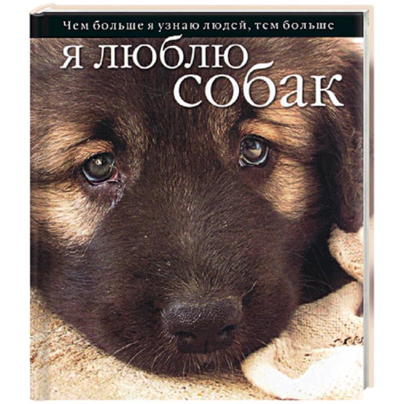 ответы биология впр. стишки про ротвейлера. я люблю собак. впр по биологии 7 класс константинов. впр 5 класс ханова биологи.