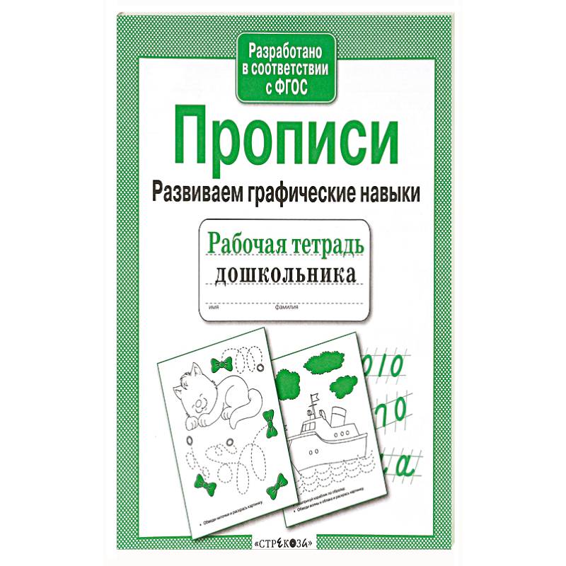 Прописи. Развиваем графические навыки. Рабочая тетрадь