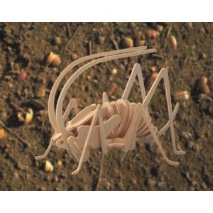 Сборная модель 'Сверчок малый'