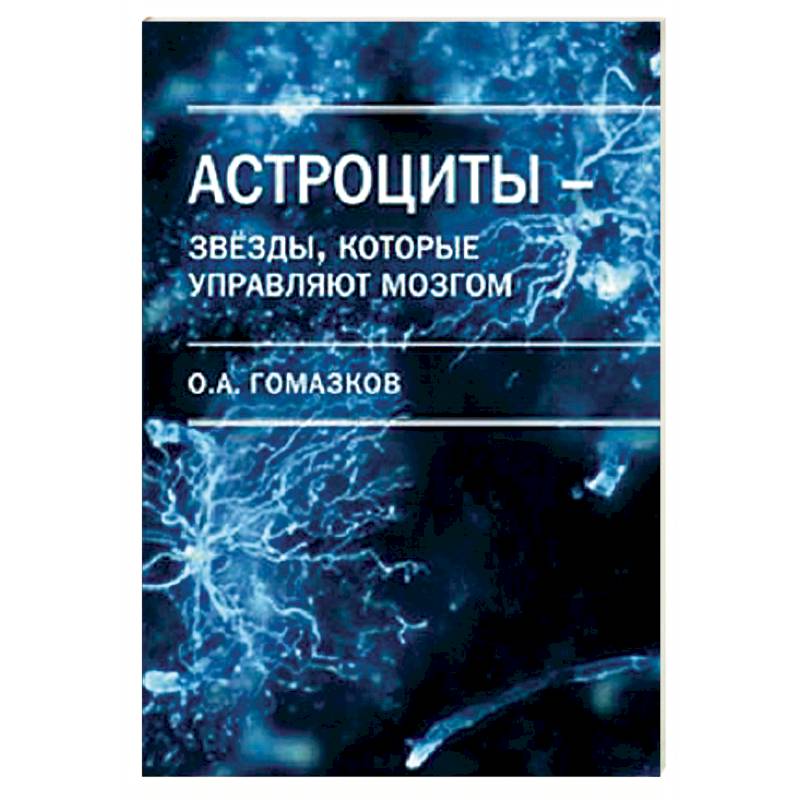Астроциты - звезды, которые управляют мозгом Астроциты - звезды, которые управляют мозгом