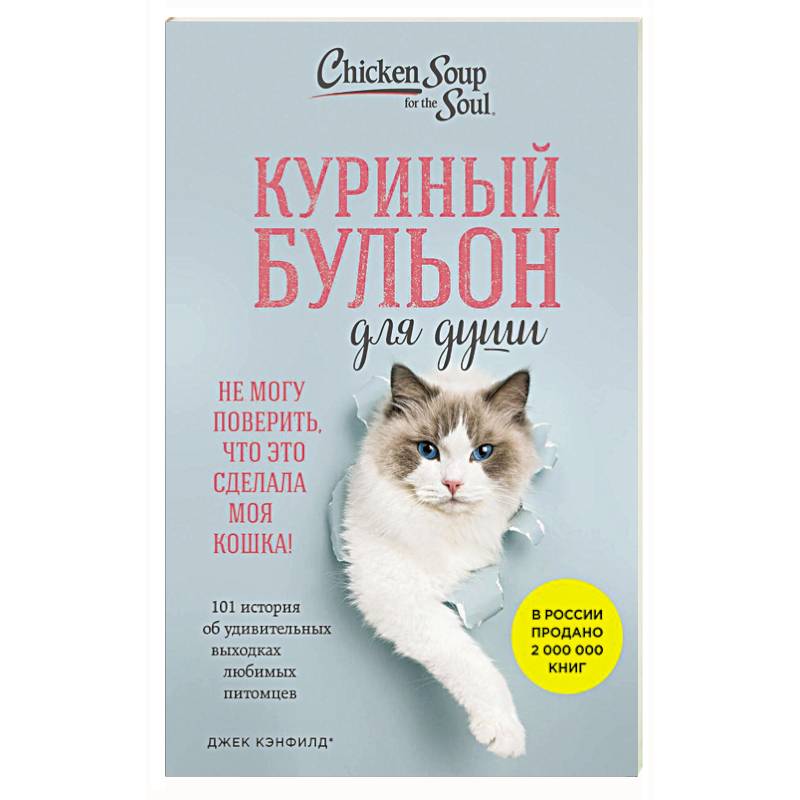 Куриный бульон для души. Не могу поверить, что это сделала моя кошка! 101 история об удивительных выходках любимых питомцев