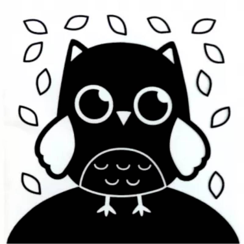 Книжка-бортик развивающая по методике Г. Домана Я изучаю животных