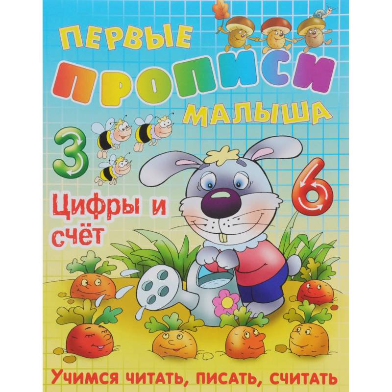 Цифры и счет