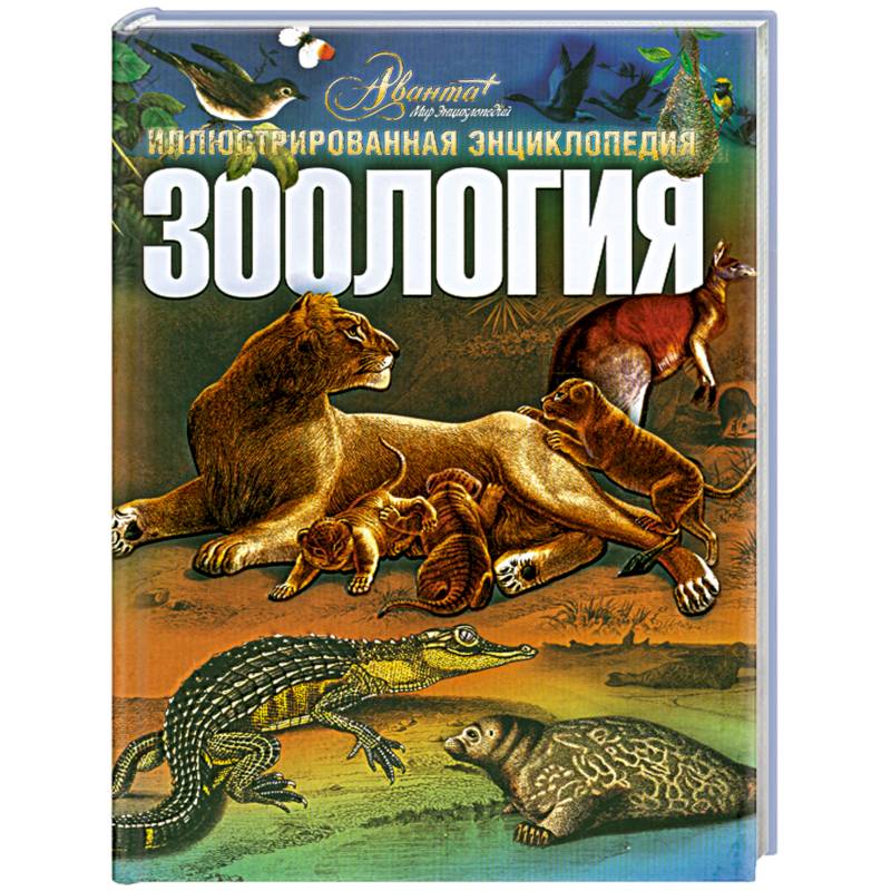 хадорн э. зоология учебник. книги про зоологию. учебник по зоологии. книги про зоологию.