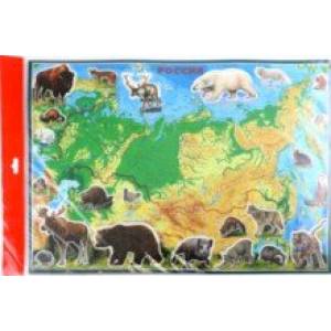 Географический пазл Животные и Природные Зоны Российской Федерации