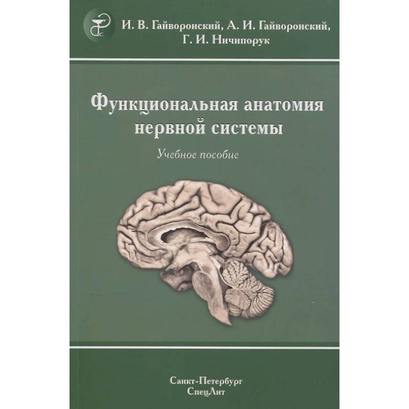 Функциональная анатомия нервной системы: Учебное пособие.