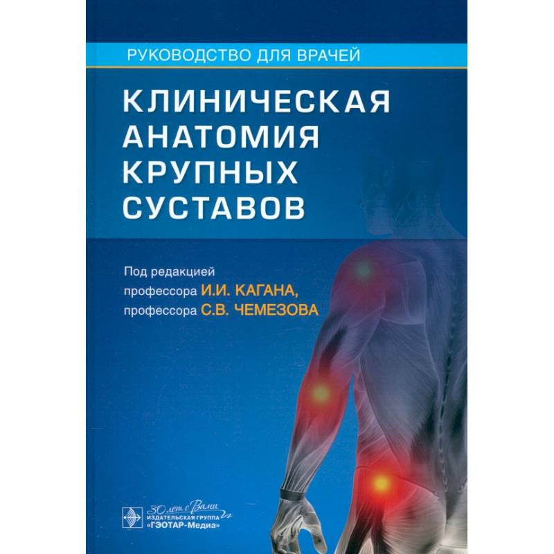 Клиническая анатомия крупных суставов