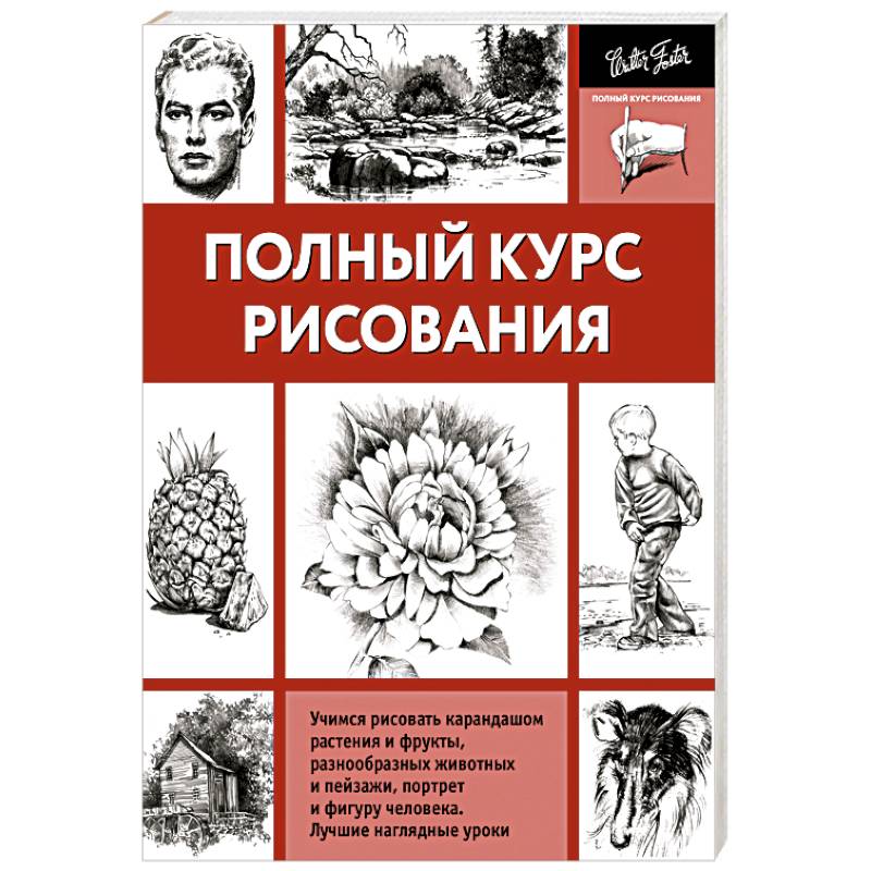 Основы рисунка пдф