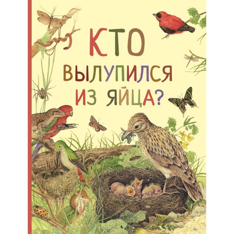 Кто вылупился из яйца?