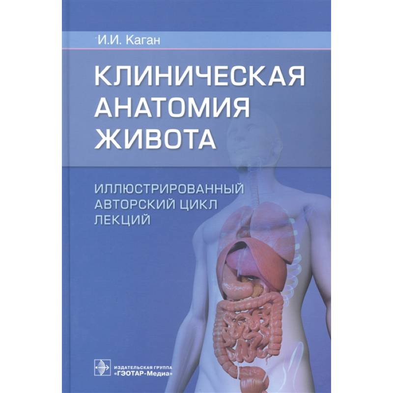 Клиническая анатомия. Анатомия живота. Егоров клиническая анатомия человека.