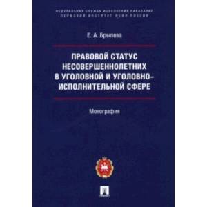 Правовой статус несовершеннолетних в уголовной и уголовно-исполнительной сфере. Монография Правовой статус несовершеннолетних в уголовной и уголовно-исполнительной сфере. Монография
