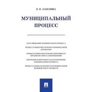 Муниципальный процесс Муниципальный процесс