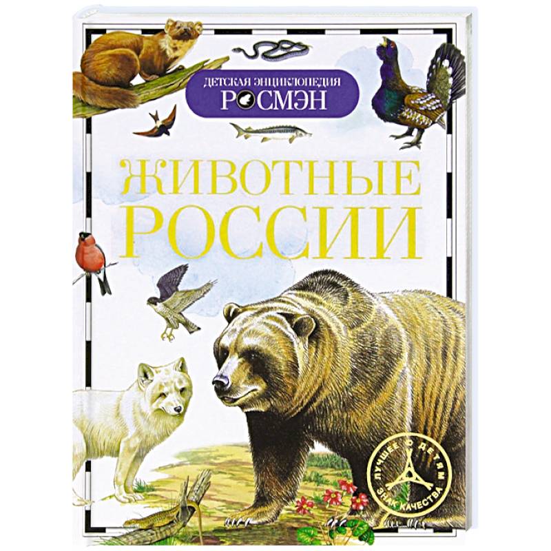 Купить Книгу Энциклопедия