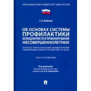 Научно-практический комментарий к ФЗ «Об основах системы профилактики безнадзорности...' Научно-практический комментарий к ФЗ «Об основах системы профилактики безнадзорности...'