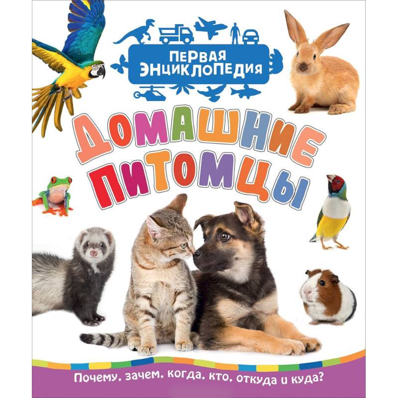 Домашние питомцы