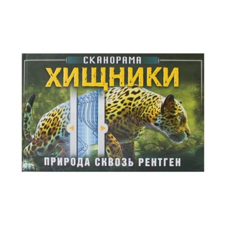 Животный и растительный мир, книга Хищники купить по скидке