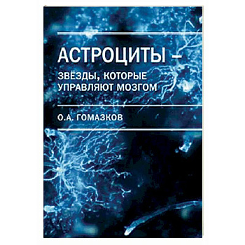 Астроциты - звезды, которые управляют мозгом Астроциты - звезды, которые управляют мозгом
