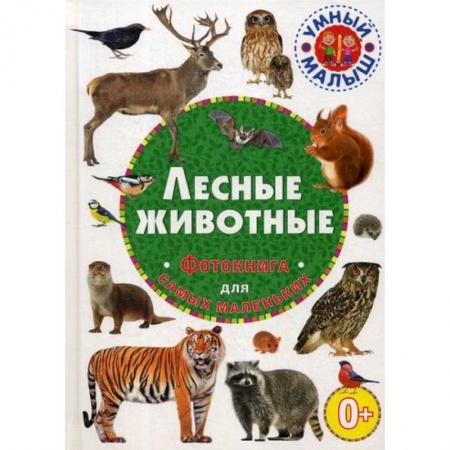 Животный и растительный мир, книга Лесные животные купить по скидке
