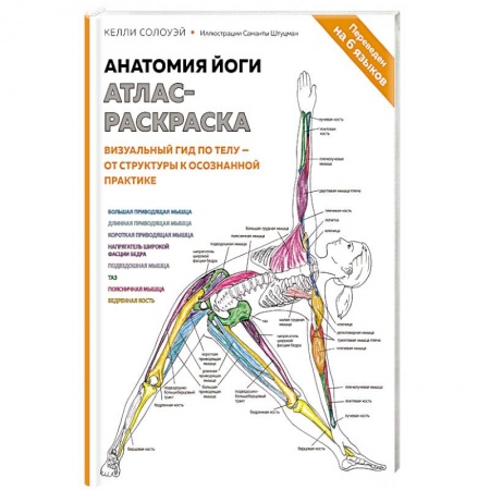 Спорт. Фитнес, книга Анатомия йоги: атлас-раскраска. Визуальный гид по телу — от структуры к осознанной практике купить по скидке
