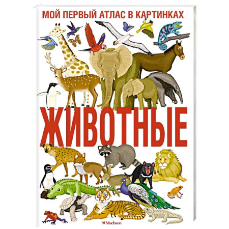 Животный и растительный мир, книга Животные. Мой первый атлас в картинках купить по скидке