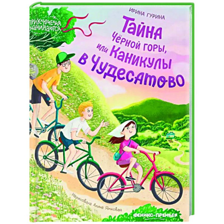 Приключения. Детективы, книга Тайна Черной горы, или Каникулы в Чудесатово купить по скидке