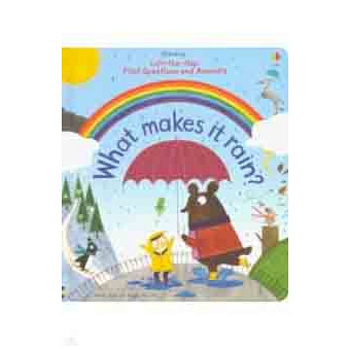 First Questions & Answers. What Makes it Rain? First Questions & Answers. What Makes it Rain?