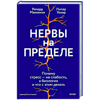 Нервы на пределе. Почему стресс — не слабость, а биология, и что с этим делать