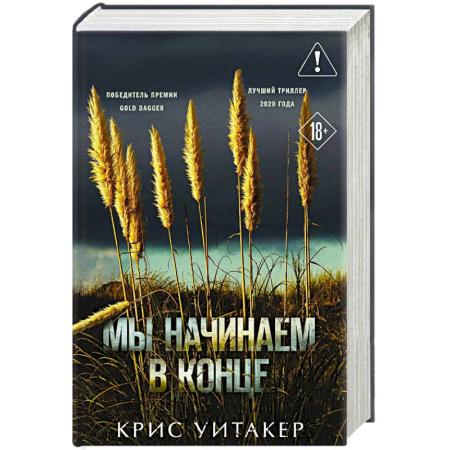 Зарубежный детектив, книга Мы начинаем в конце (формат клатчбук) купить по скидке