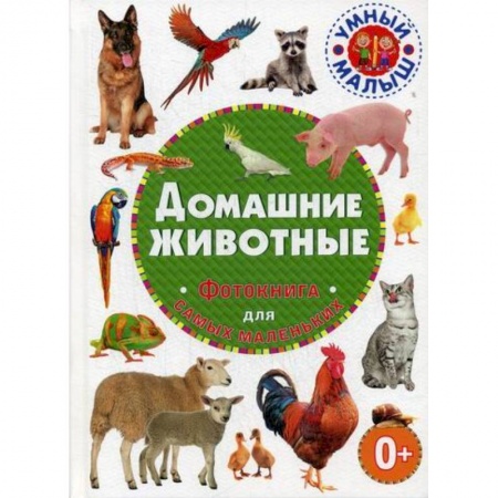 Животный и растительный мир, книга Домашние животные купить по скидке