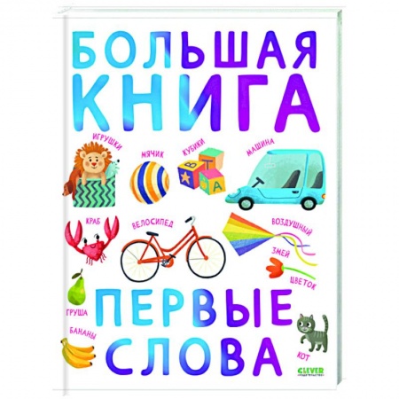 Знакомство с миром, развитие малыша, книга Первые книжки малыша. Большая книга. Первые слова купить по скидке