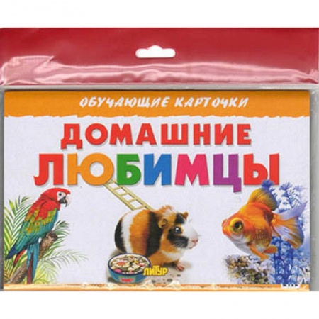 Животный и растительный мир, книга Домашние любимцы купить по скидке