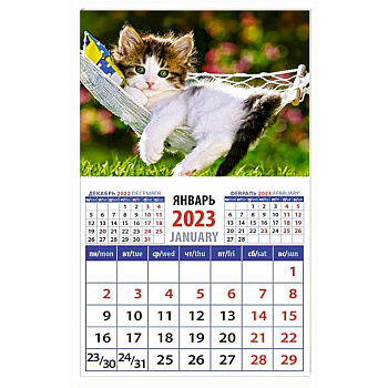 Календарь Год кота. Отдых в гамаке на 2023 год