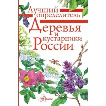 Животный и растительный мир, книга Деревья и кустарники России. Определитель купить по скидке