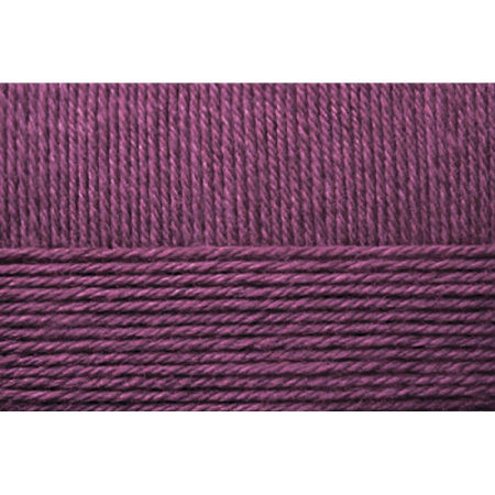 Носочная пряжа. Цвет 191-Ежевика. 10x100 г.