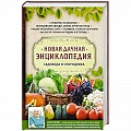 Овощные культуры. Грибы