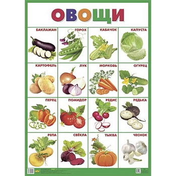 Плакат. Овощи