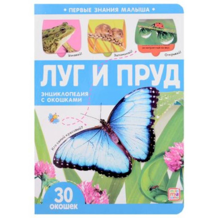 Знакомство с миром, развитие малыша, книга Луг и пруд. Книжка с окошками купить по скидке