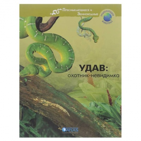 Животный и растительный мир, книга Удав: охотник-невидимка купить по скидке