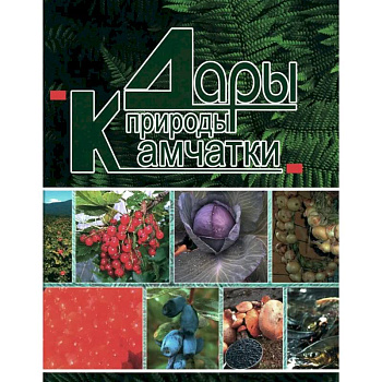 Дары природы Камчатки