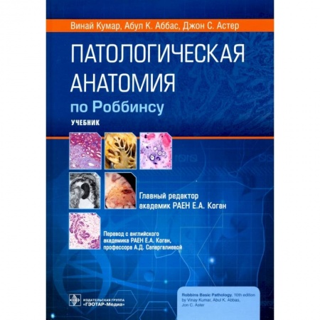 Другие виды специальной медицины, книга Патологическая анатомия по Роббинсу. Учебник купить по скидке