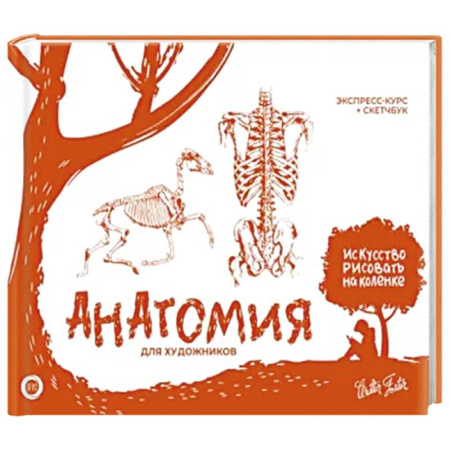 Изобразительное искусство, книга Анатомия для художников. Экспресс-курс + скетчбук купить по скидке