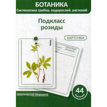 Ботаника, книга Ботаника. Систематика грибов, водорослей, растений. Подкласс розиды купить по скидке