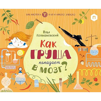 Как груша попадает в мозг?