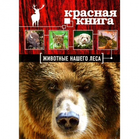 Животный и растительный мир, книга Красная книга. Животные нашего леса купить по скидке