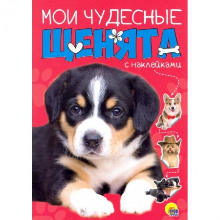 Конструирование из бумаги, книга БРОШЮРА С НАКЛЕЙКАМИ. МОИ ЧУДЕСНЫЕ ЩЕНЯТА купить по скидке