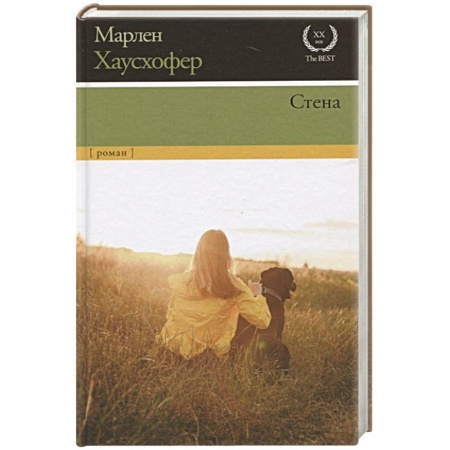 Зарубежная классика, книга Стена купить по скидке